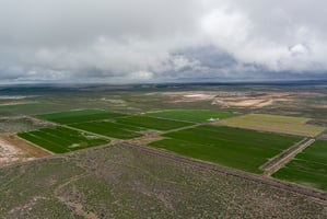 28971678