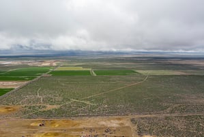 28971676