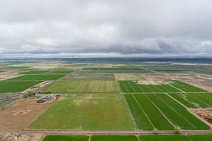 28971674
