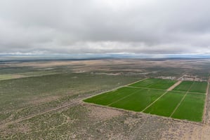 28971677