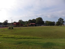 28976403