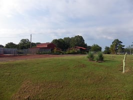 28976398