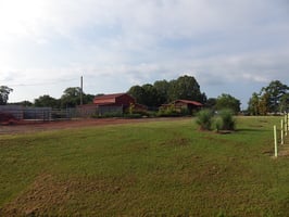 28976400