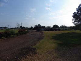 28976384