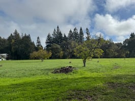 28976870