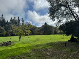 28976869