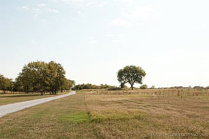 28977637