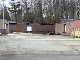 29481651