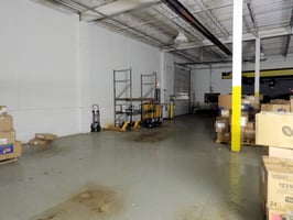 29481661