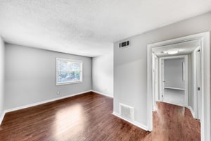 29308833