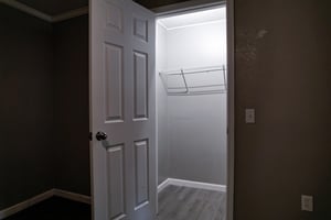 29125649