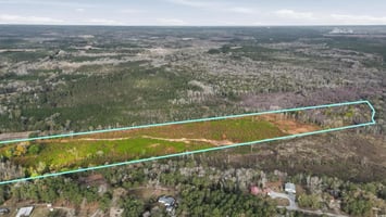 29458499