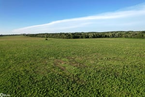 33695796