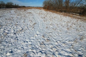 28993263