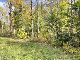 28993477