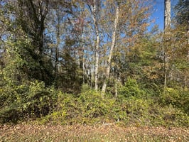 29003426