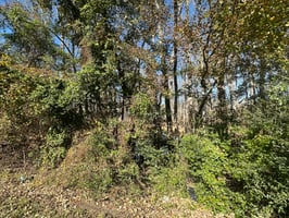 29003425