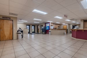 29004541