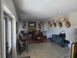 29007920