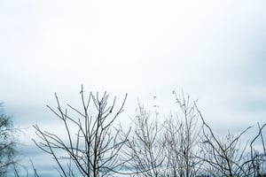 29013385