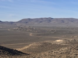 29013618