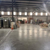 29059505