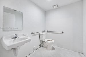 29017677