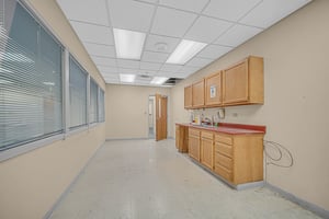 29094768