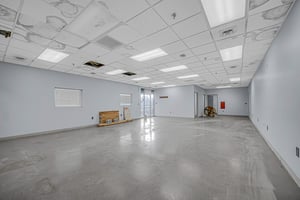 29094767