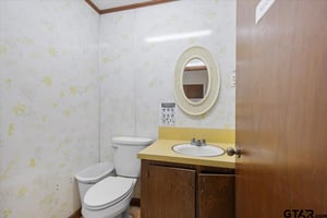 29022481