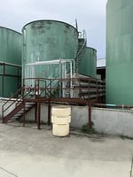 33989017