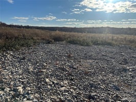 29486307