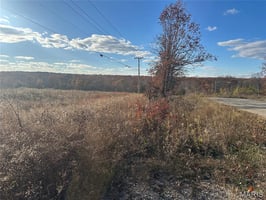29486304
