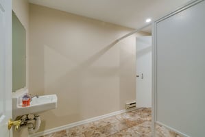 29026068