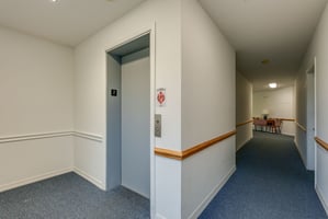 29026067