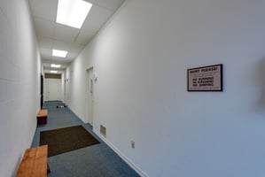 29026055