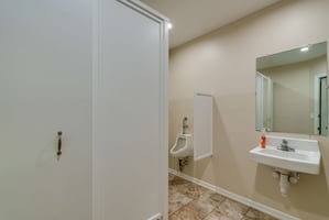 29026066