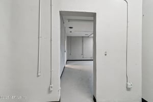 29025594