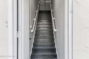 29025697