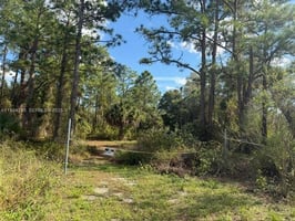 29026440