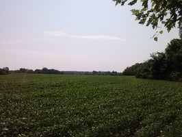 29027600