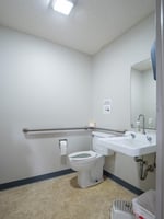 29036061