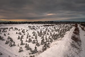 29040364