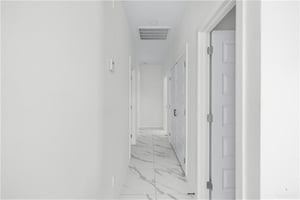 29040620
