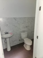 29042621