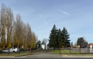 29044409