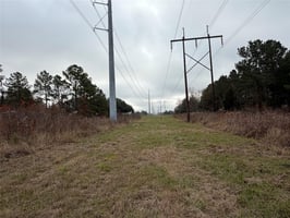 29044521