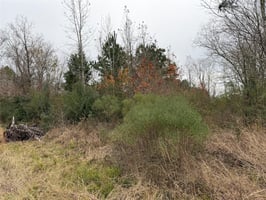 29044523