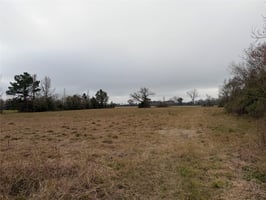 29044532