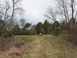 29044529